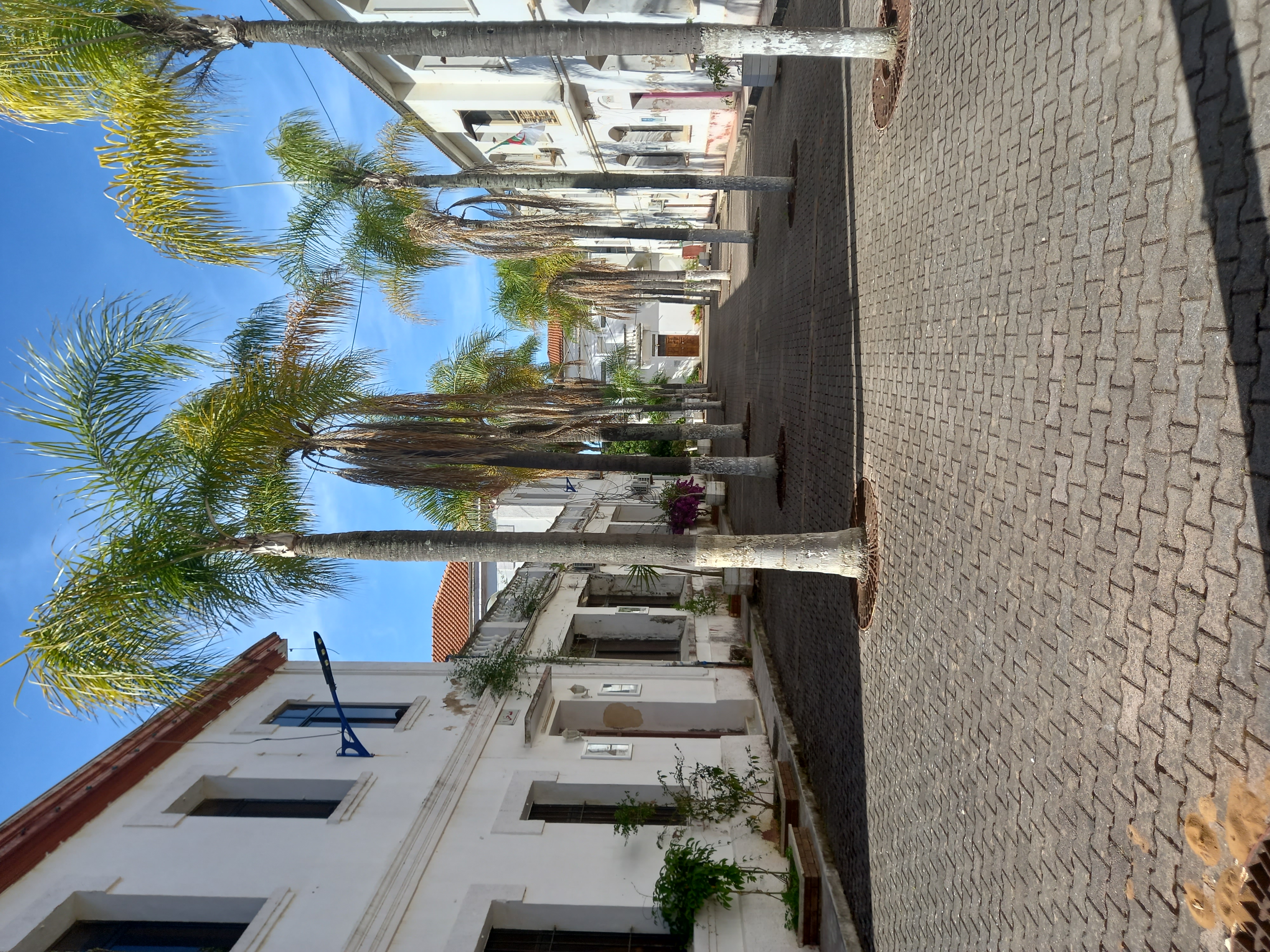 Image de l'université