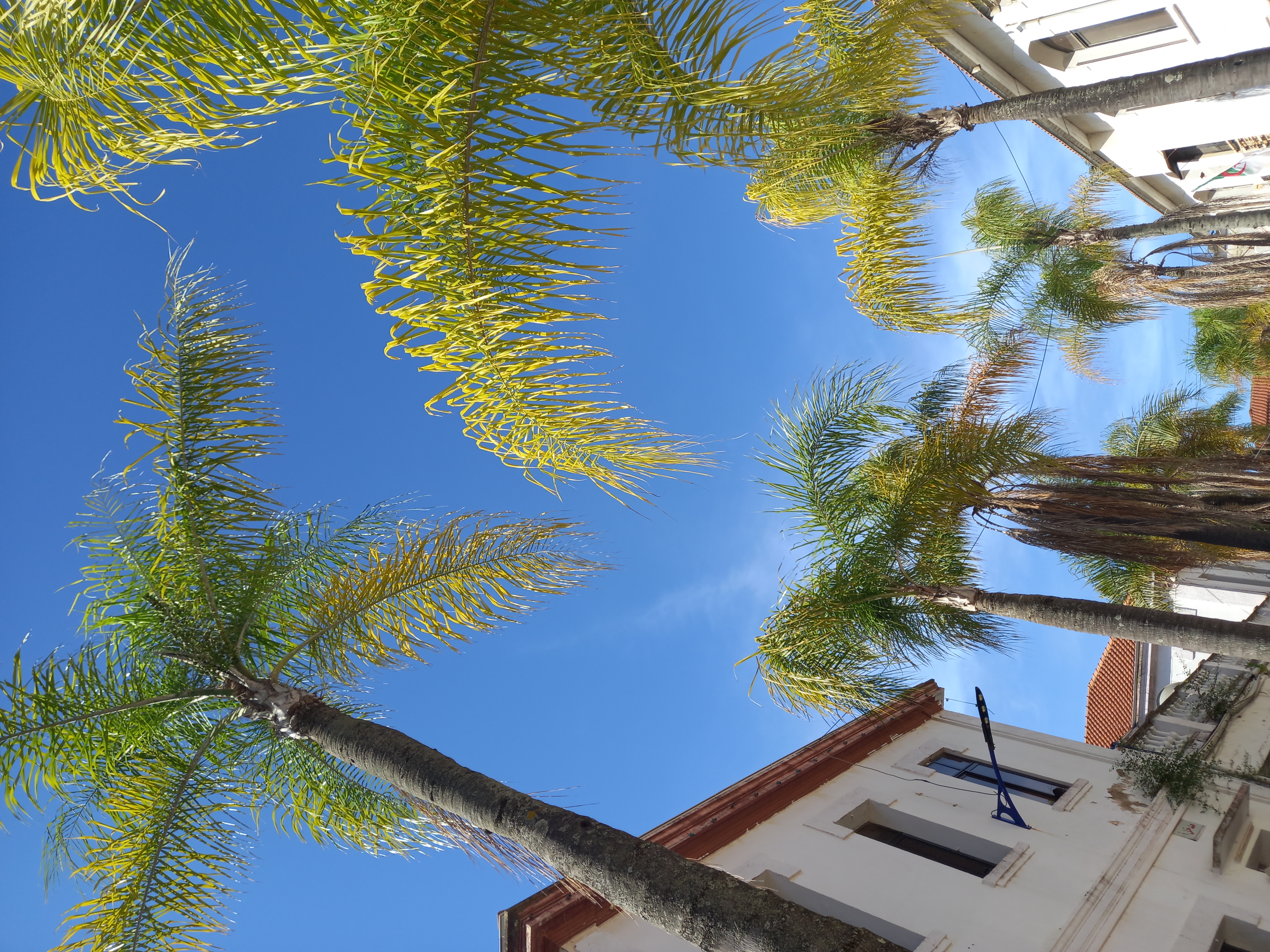 Image de l'université