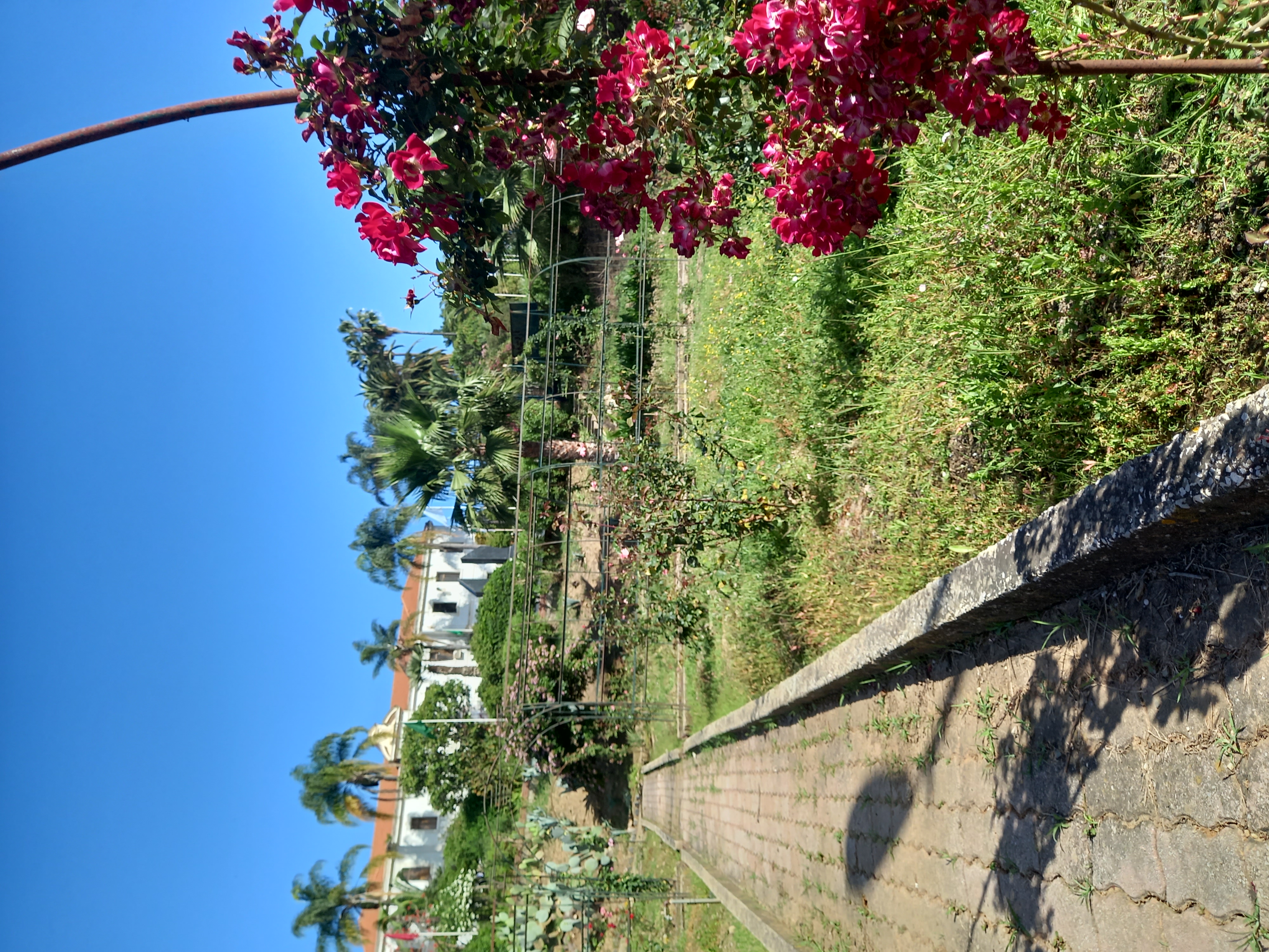 Image de l'université