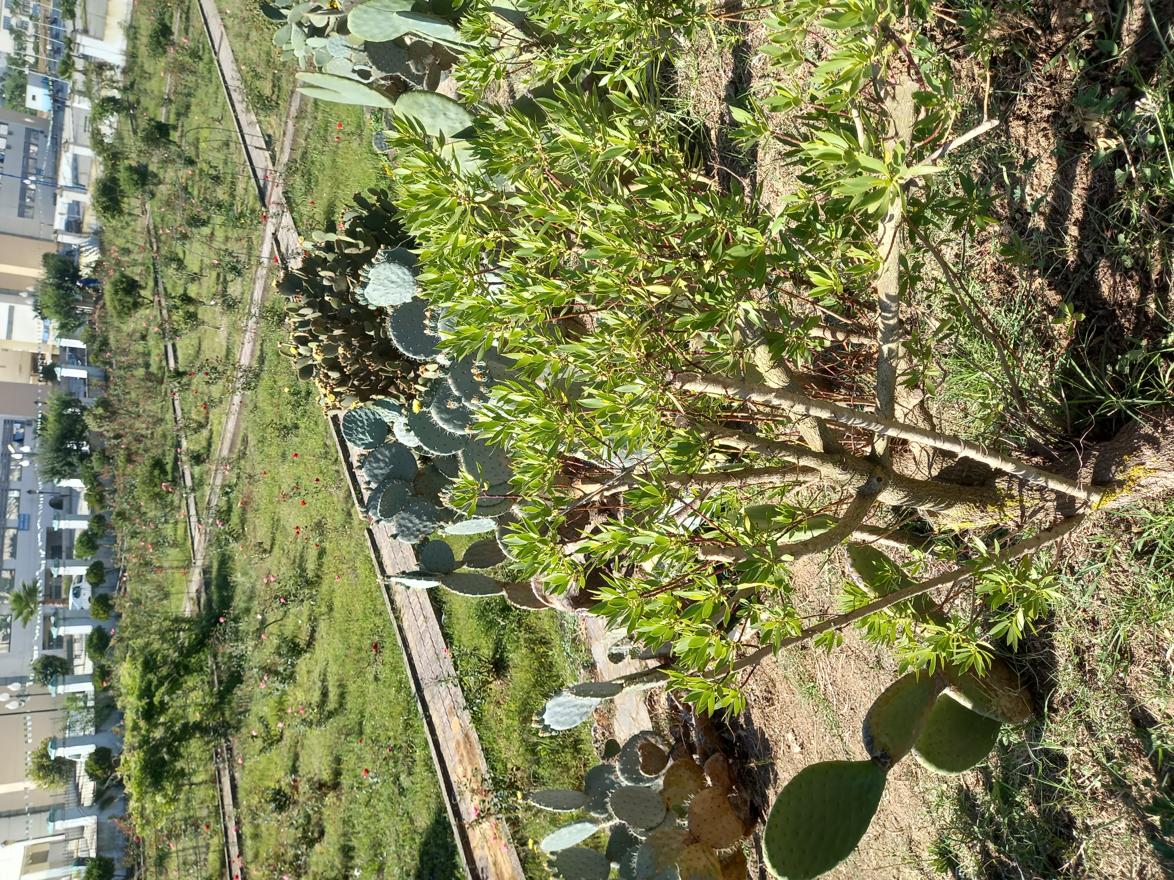 Image de l'université