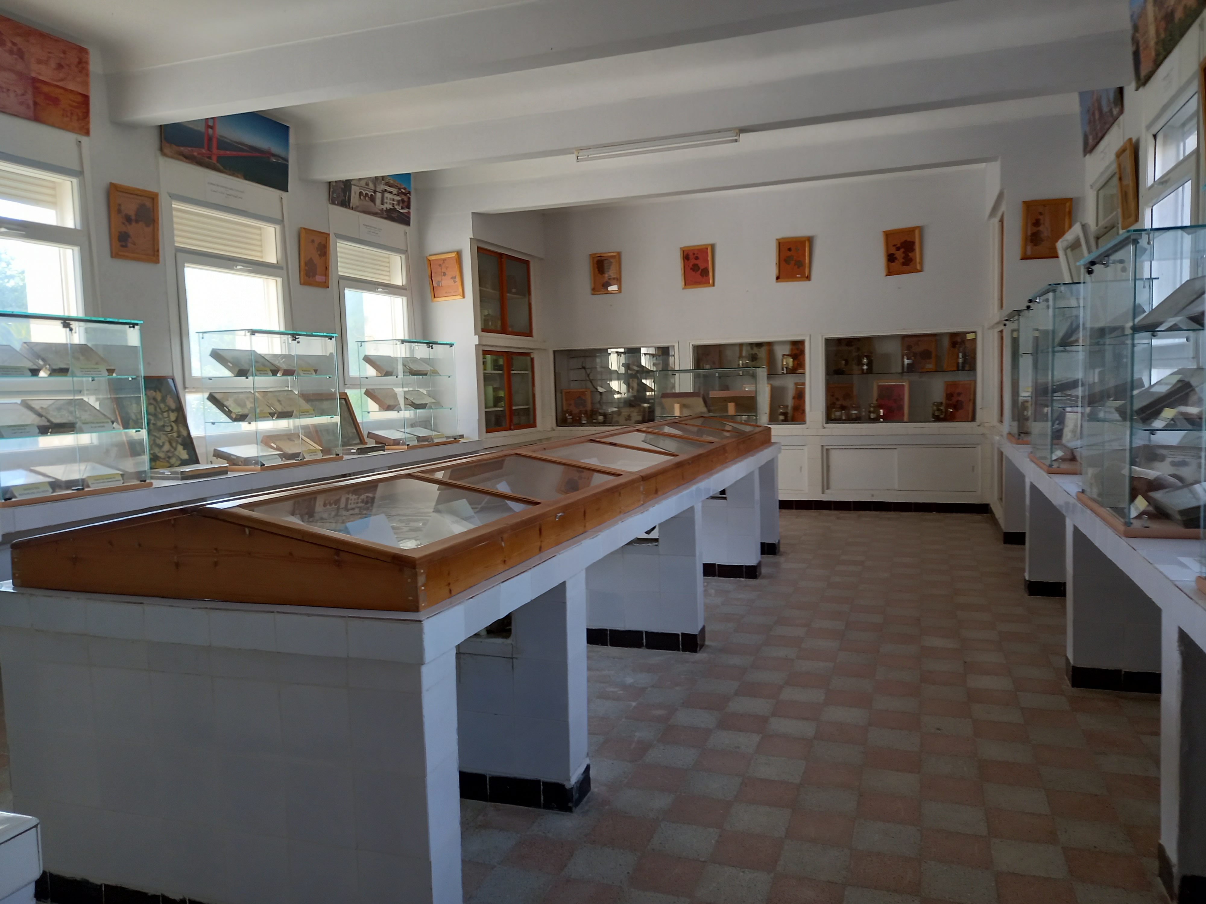 Image de l'université