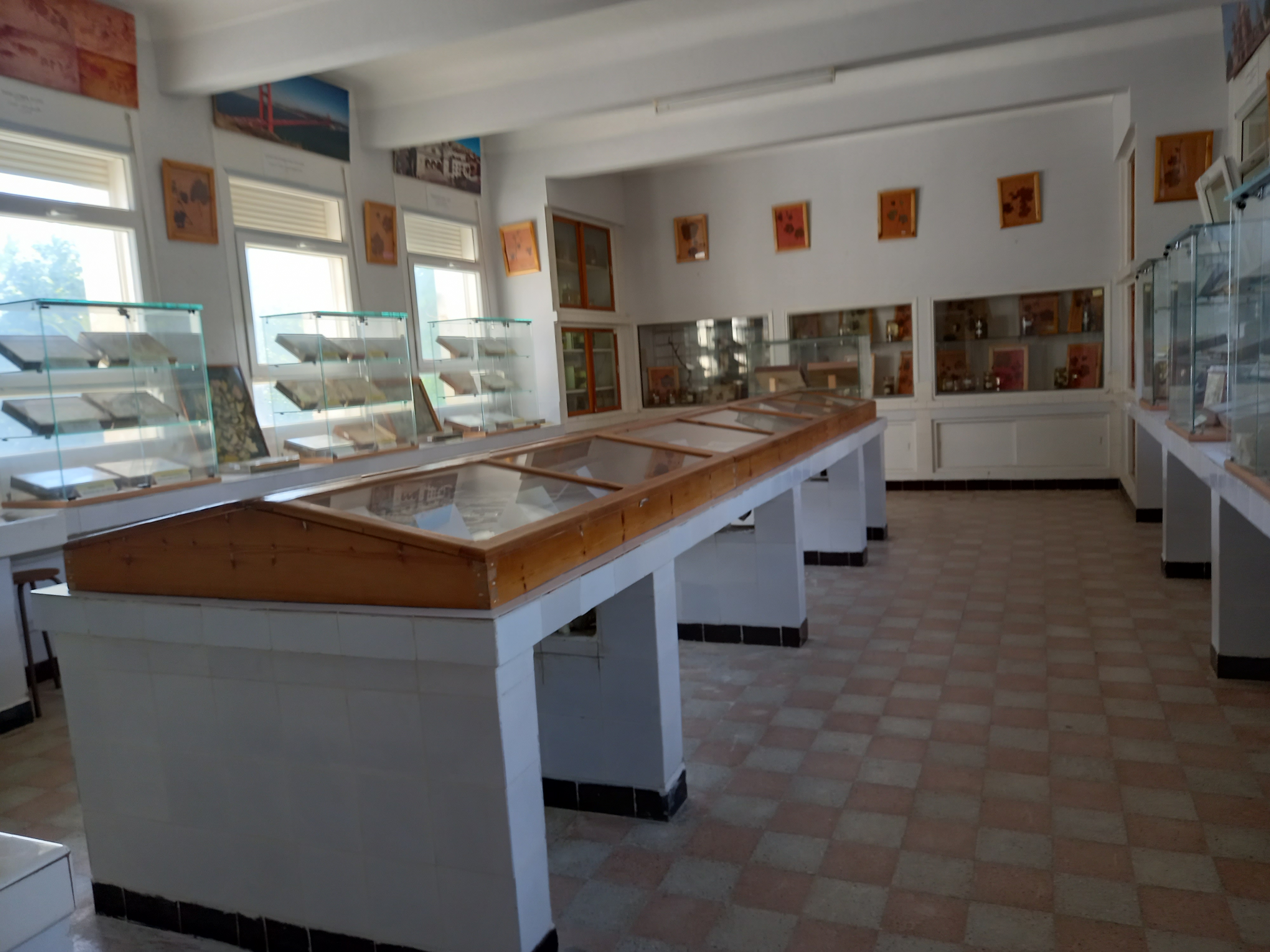 Image de l'université