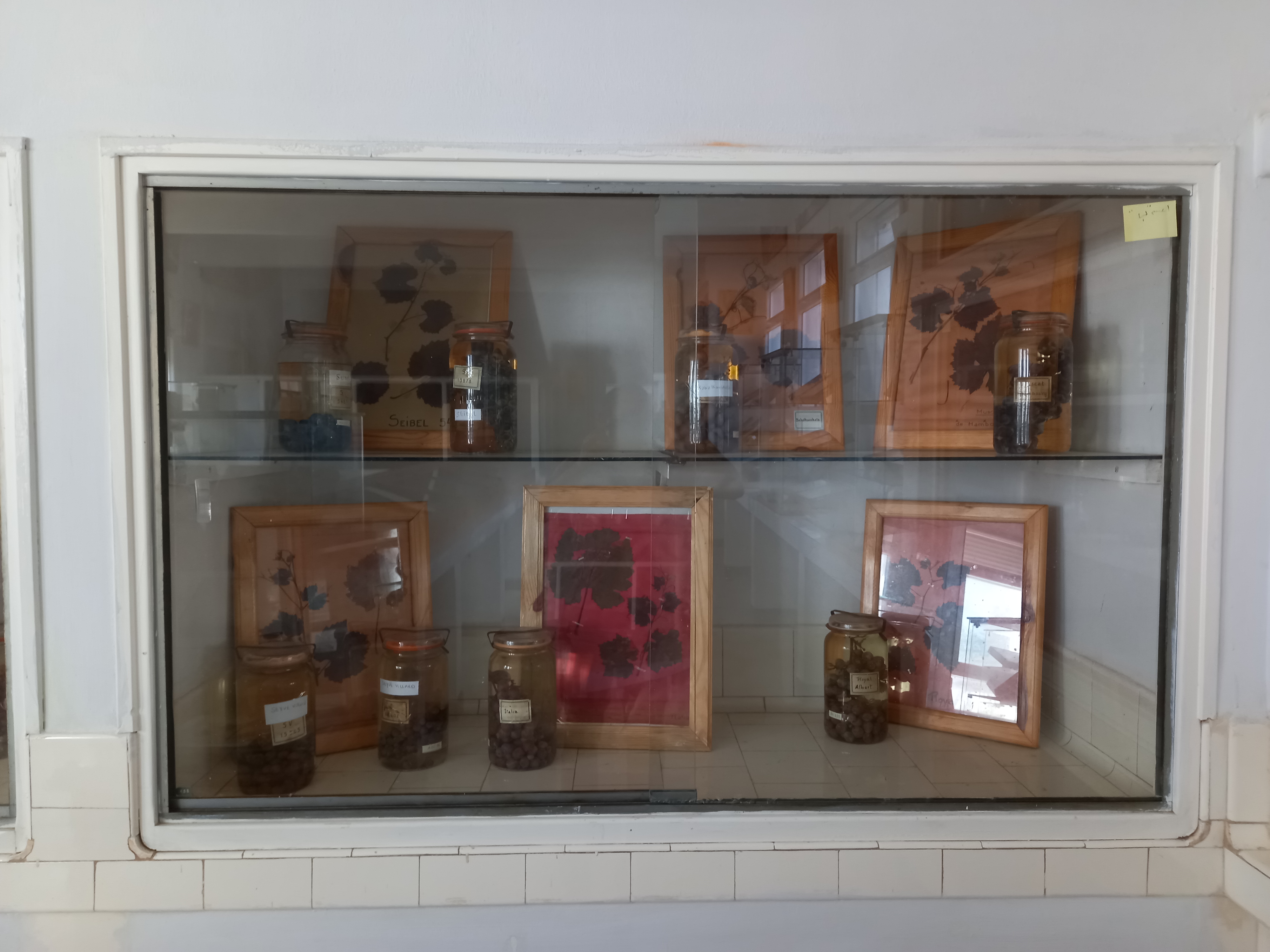 Image de l'université