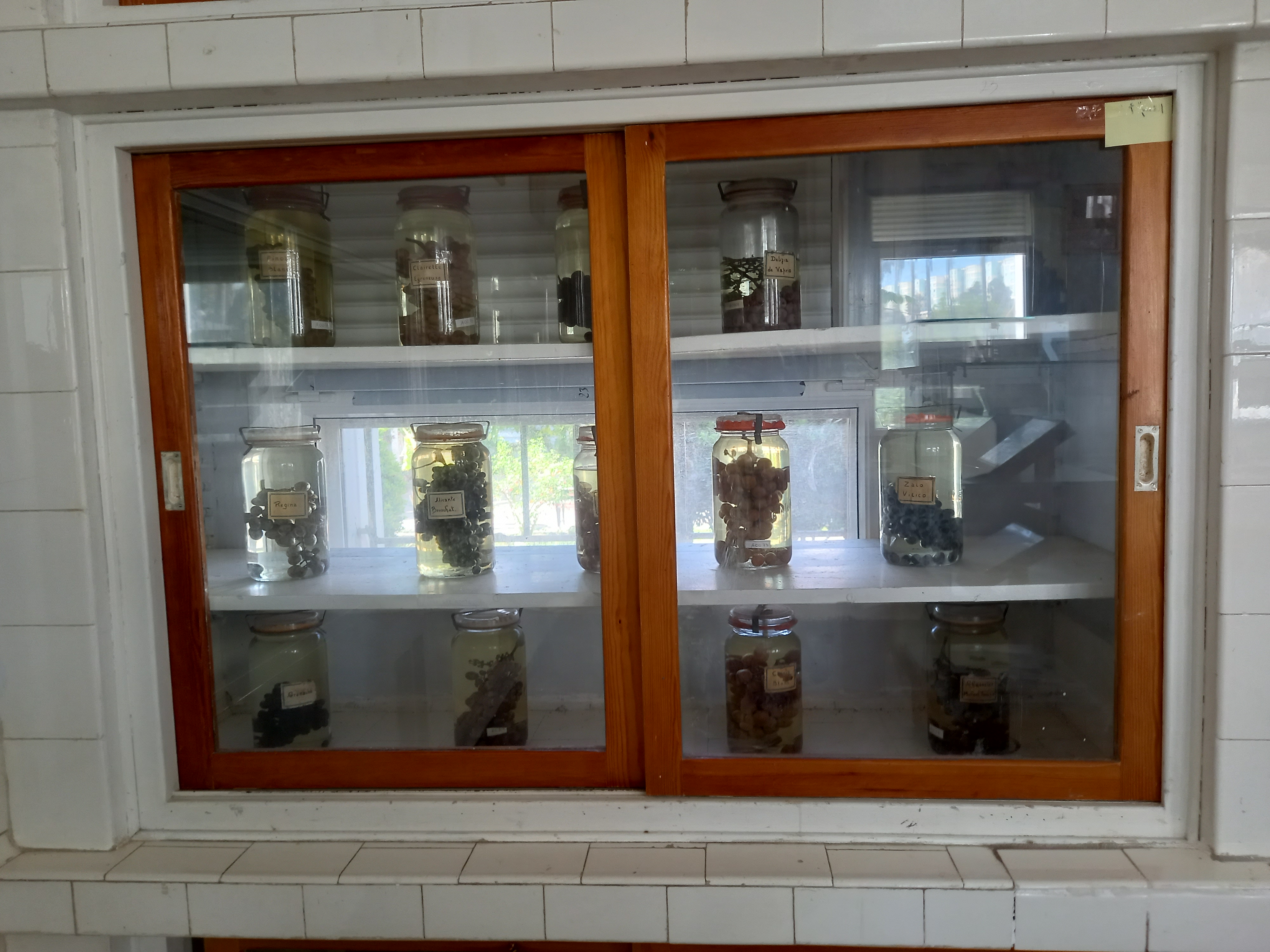 Image de l'université