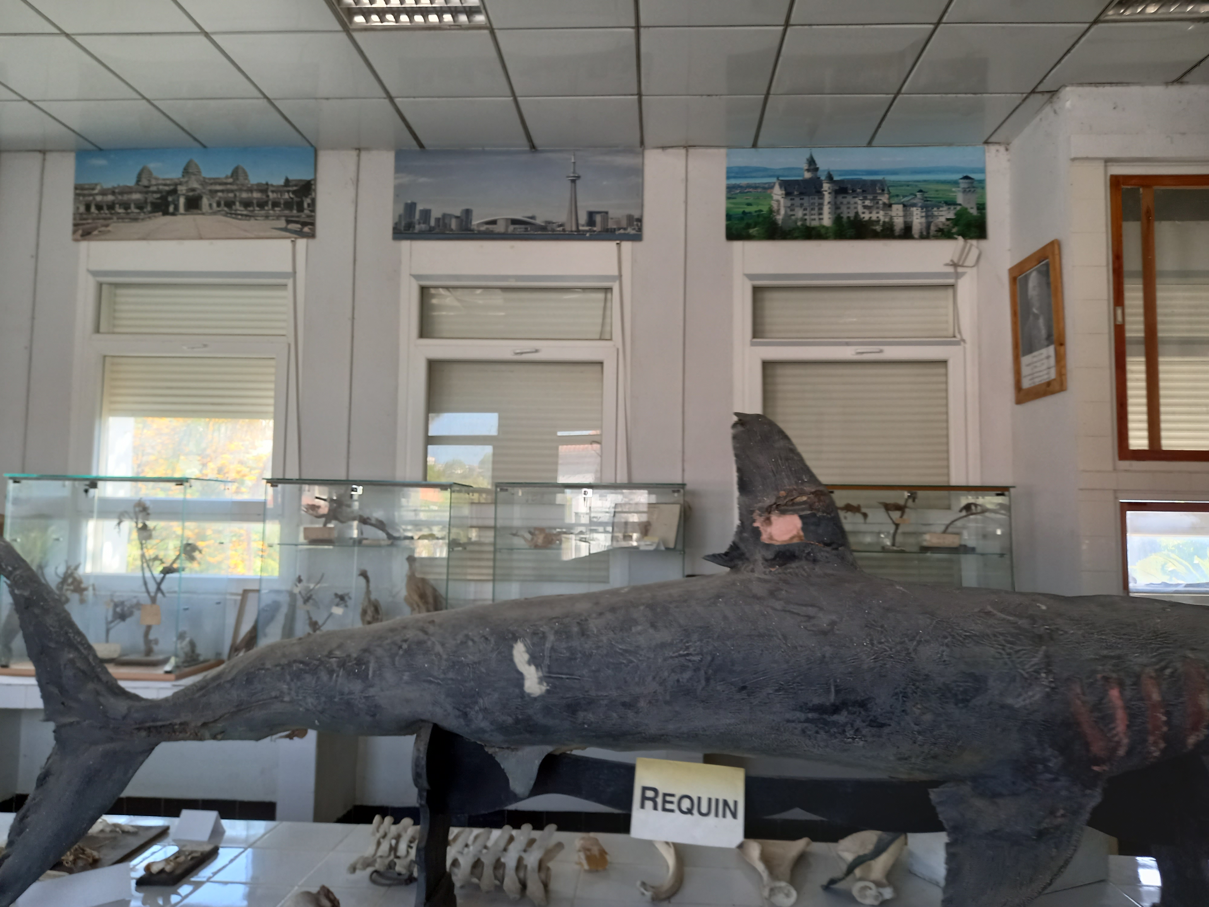 Image de l'université