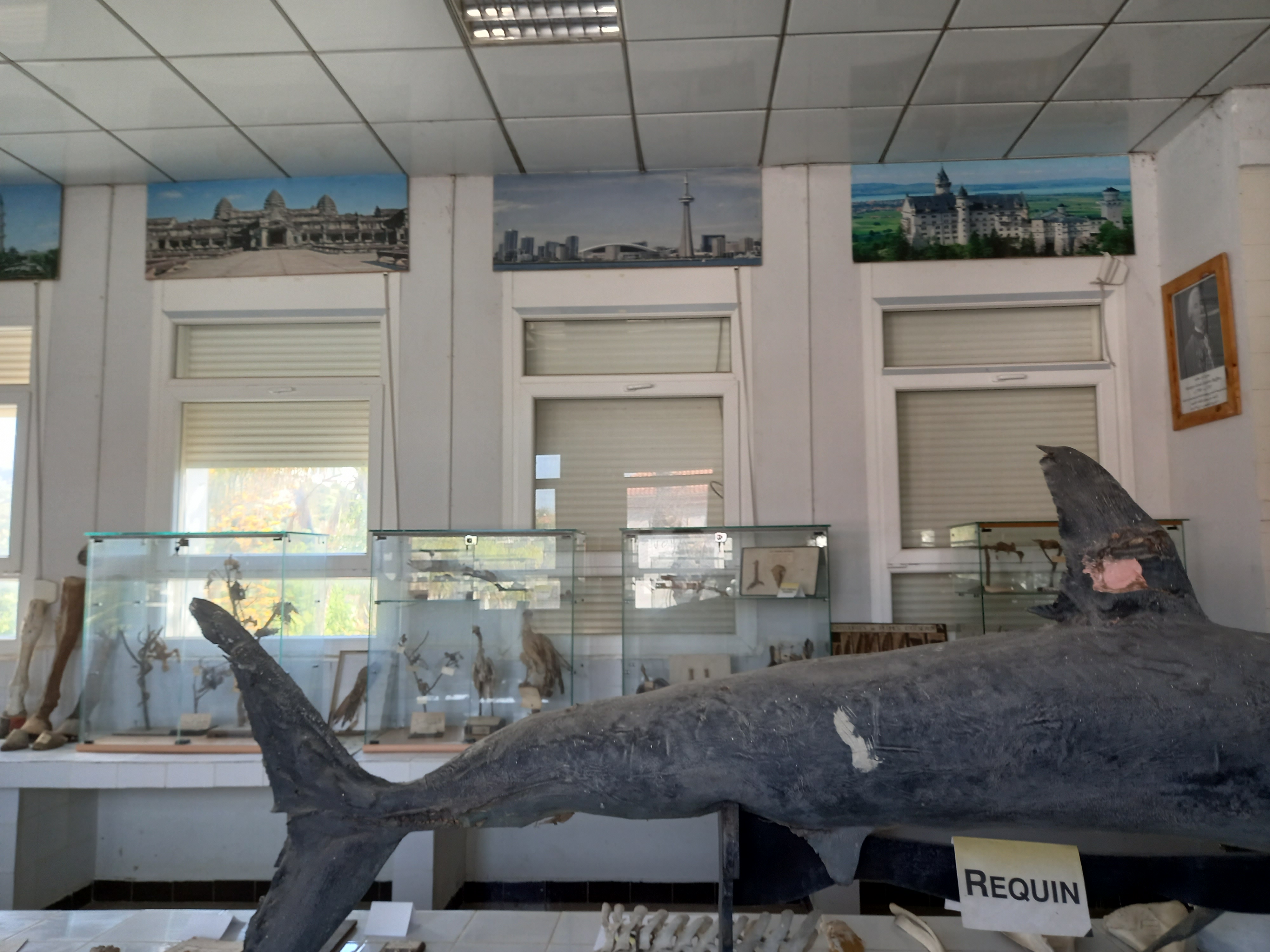 Image de l'université