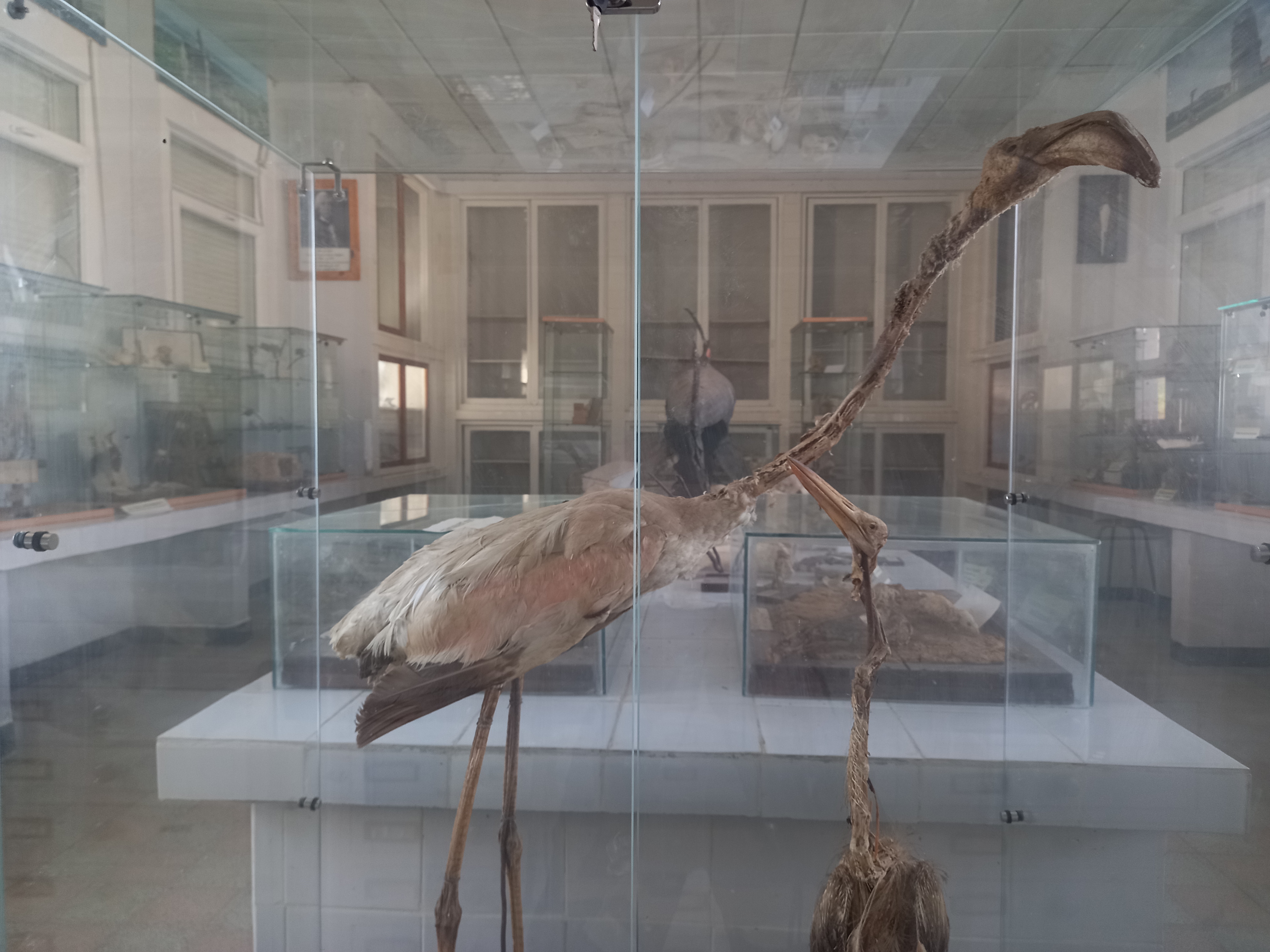 Image de l'université