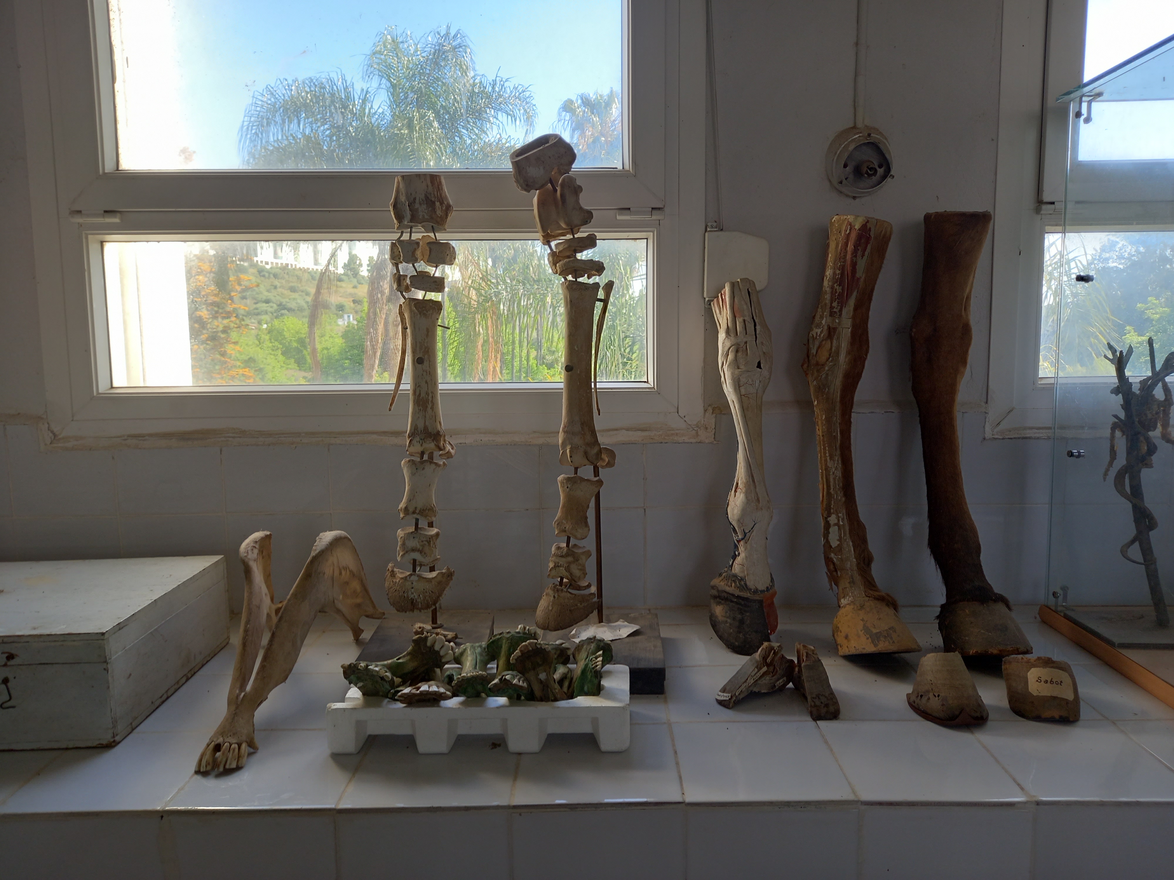 Image de l'université